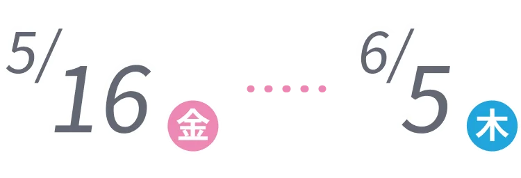 2/27木曜-3/19水曜